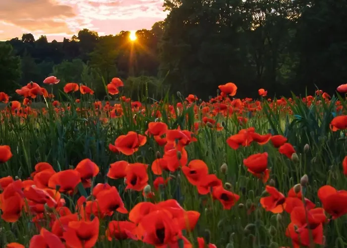 Am Herzogspark Appartamento